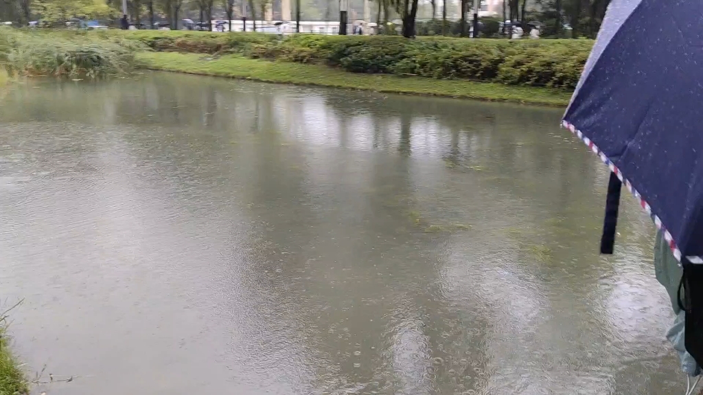 [图]西电下新雨，可那位湖人却不复！