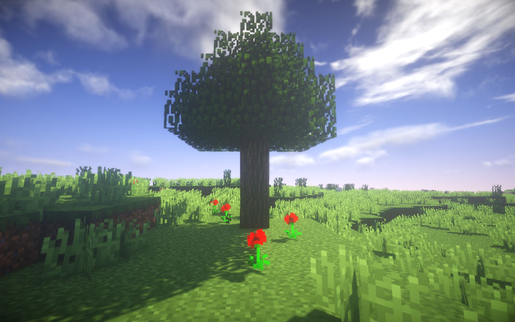 【请记住这棵树 它将会总结你我的世界的一生】