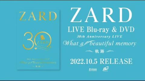 ZARD 30周年記念ライブBD 「ZARD 30th Anniversary Live “What a 