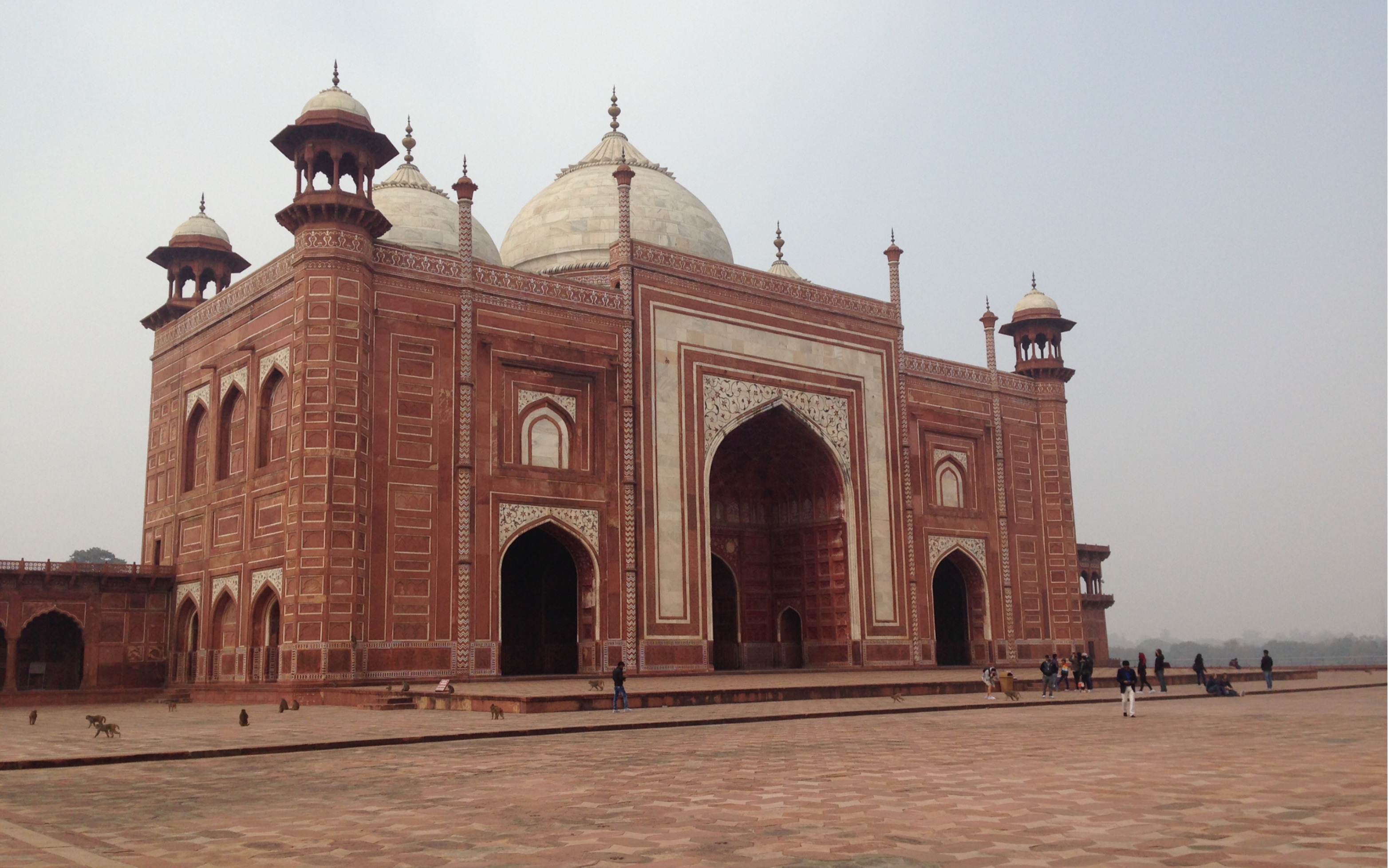 印度加尔各答的街头