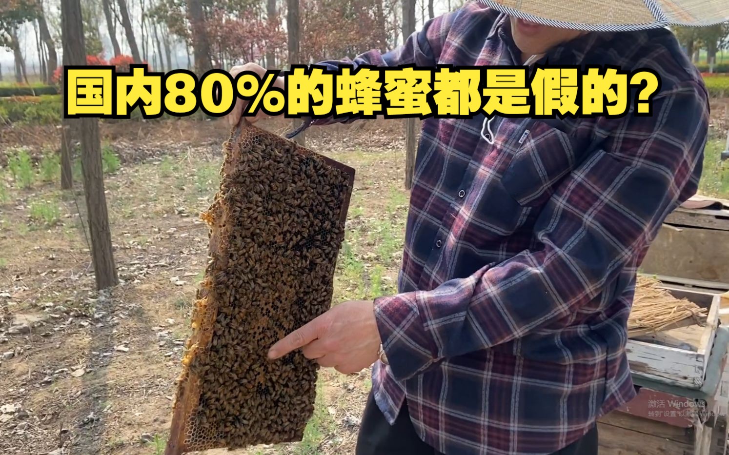 大叔养蜂多年 爆出行业内幕 国内80%的蜂蜜竟都是假的!哔哩哔哩bilibili