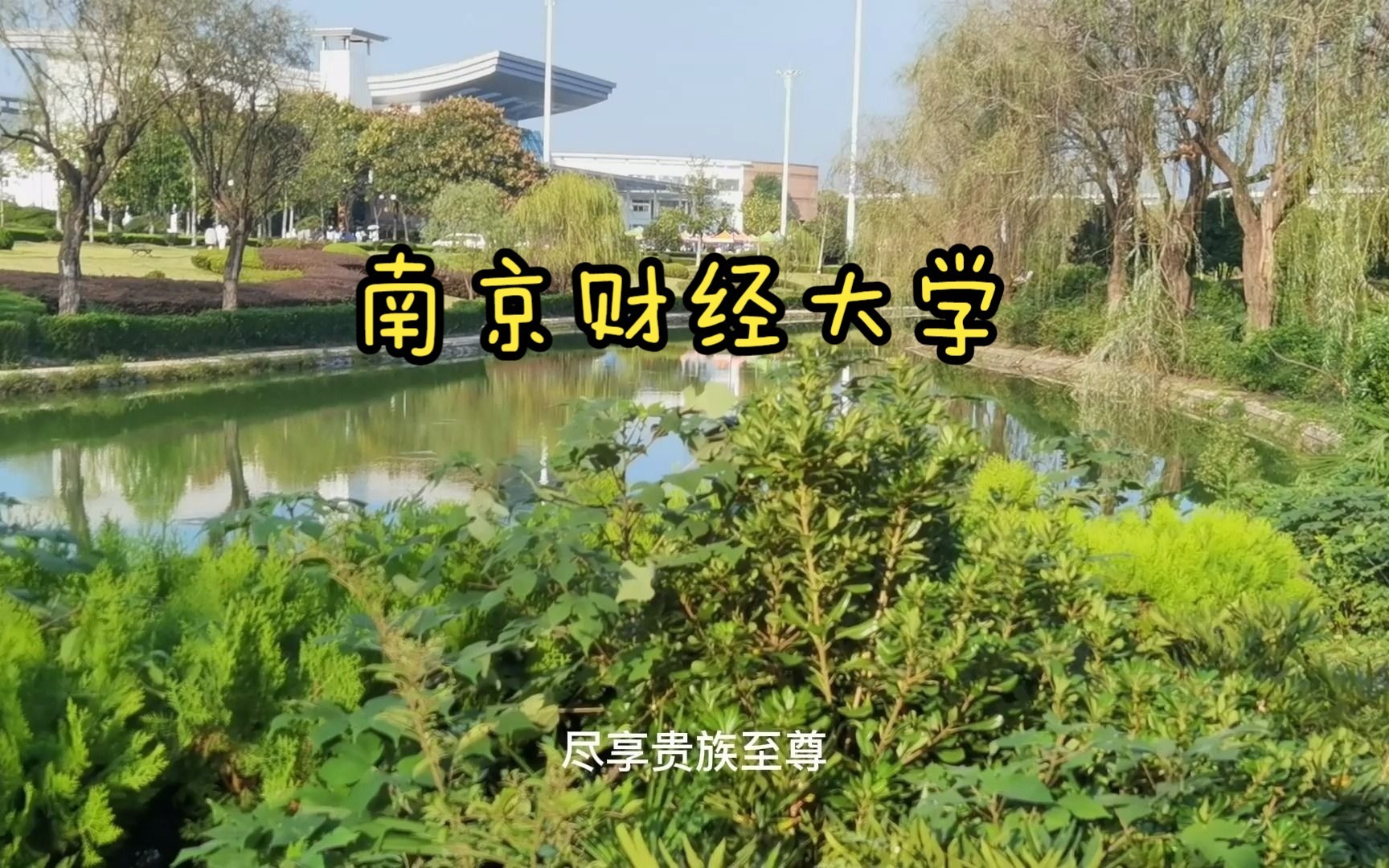 南京财经大学:这不比招生简章好使?哔哩哔哩bilibili