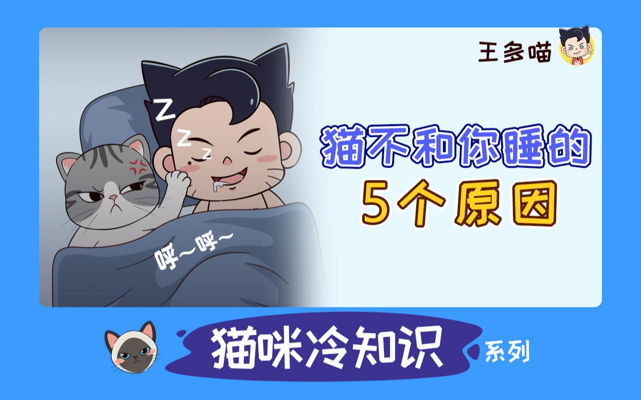 猫咪不跟你一起睡觉?没想到是你的锅~哔哩哔哩bilibili