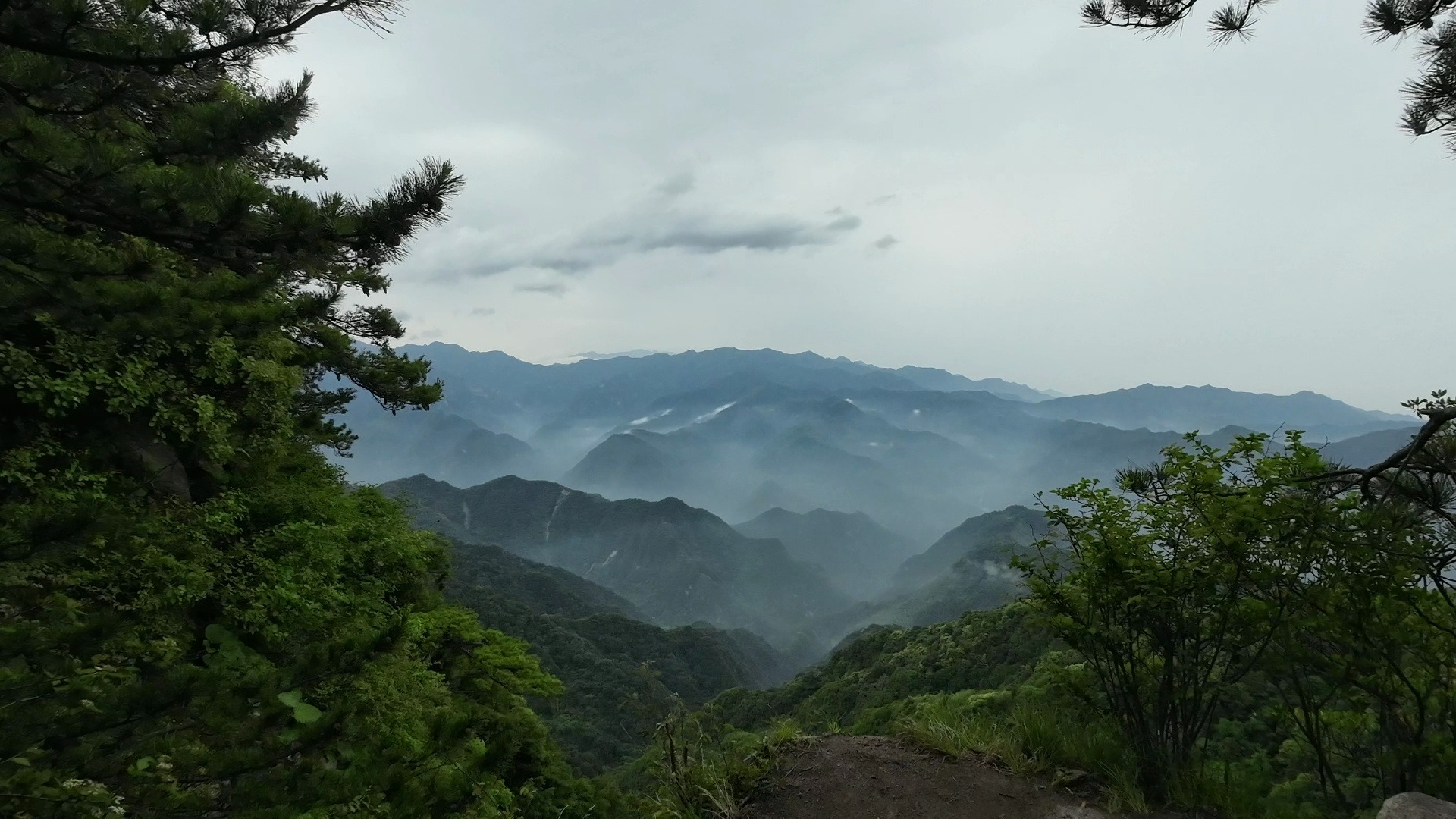 西安万花山森林公园图片