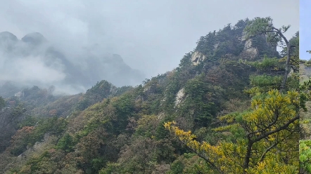 《题蓝田王顺山》奇峰高耸入九霄,云雾浩渺松间绕.绿阴叠翠清泉流,秦岭胜景在蓝桥.——癸卯年秋月.樊永利.拙作哔哩哔哩bilibili