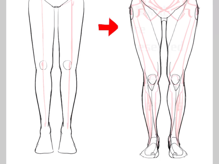 关于腿部,新手都会画错的地方哔哩哔哩bilibili