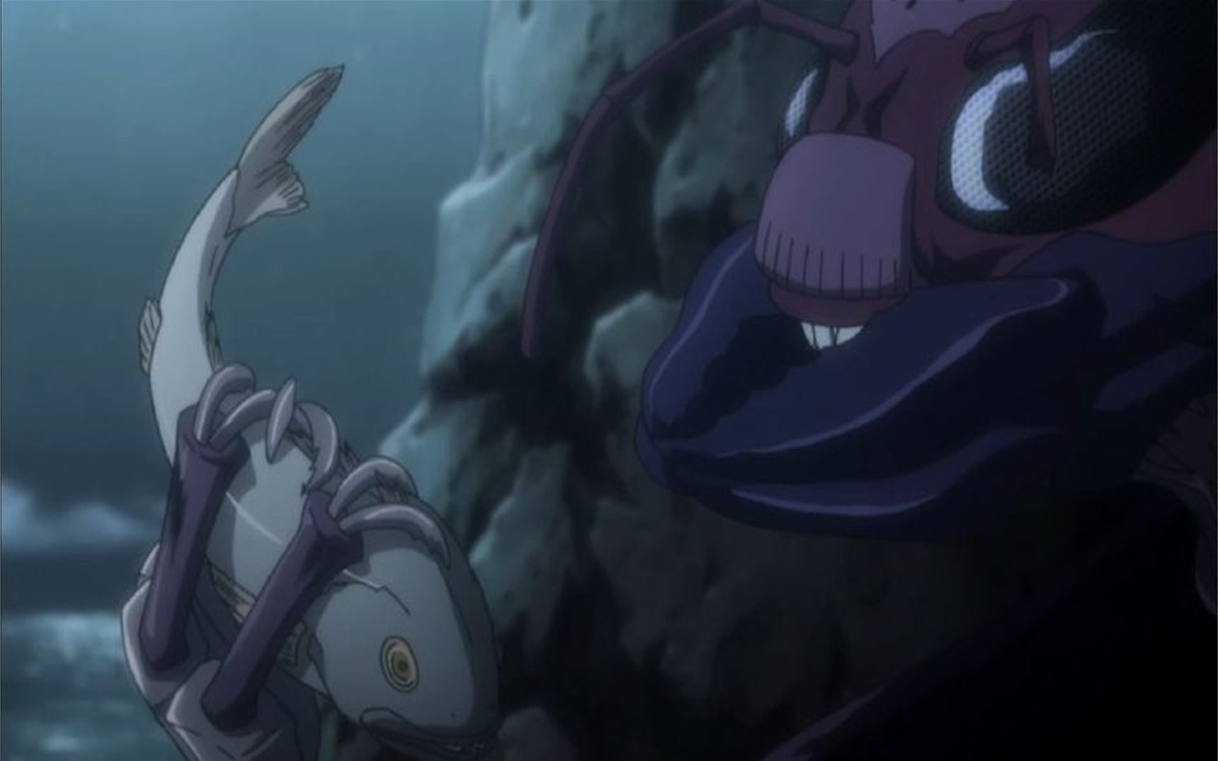 59快速的繁殖丨全职猎人嵌合蚁篇