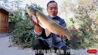 下载视频: 食叔买几条大鱼，做铁锅炖大鱼放上粉条白菜豆腐，太香了一家人围着大锅吃满嘴流油过瘾