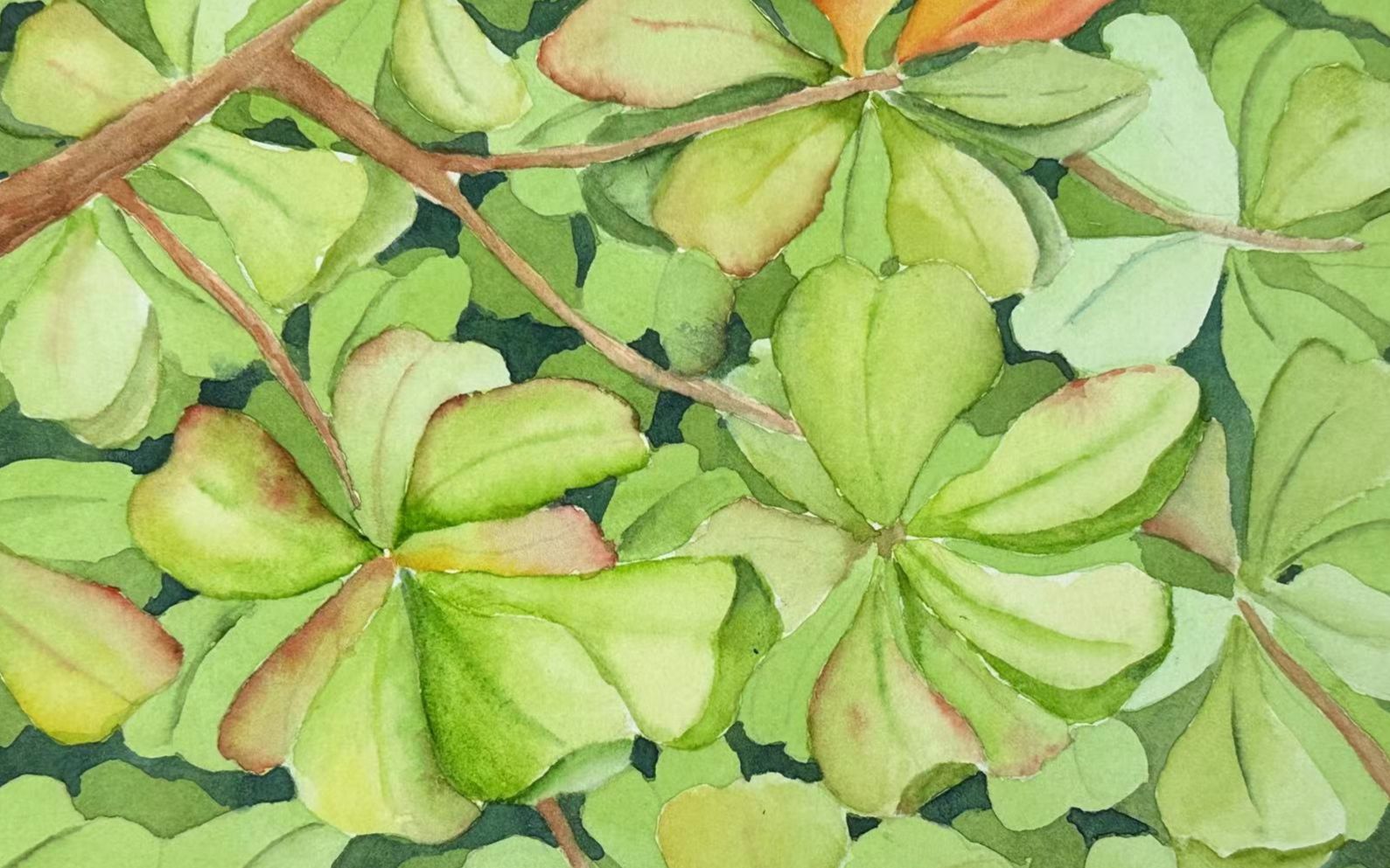 7月4日 苏薇萍老师绘画课 水彩-植物叶子负形画 2