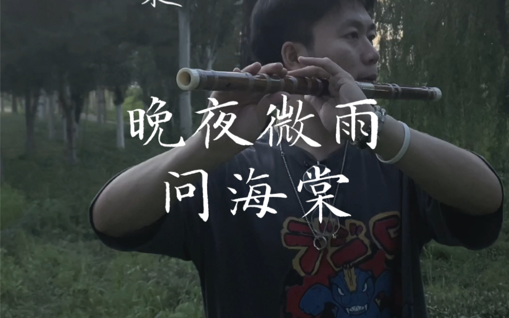 【笛子】《晚夜微雨问海棠》-爱恨此消彼长~~-布和笛箫-布和笛箫-哔哩哔哩视频