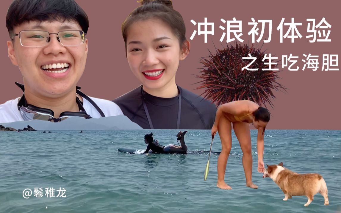 鬈稚龙vlog | 深圳冲浪初体验 | 生吃海胆妙不可言哔哩哔哩bilibili