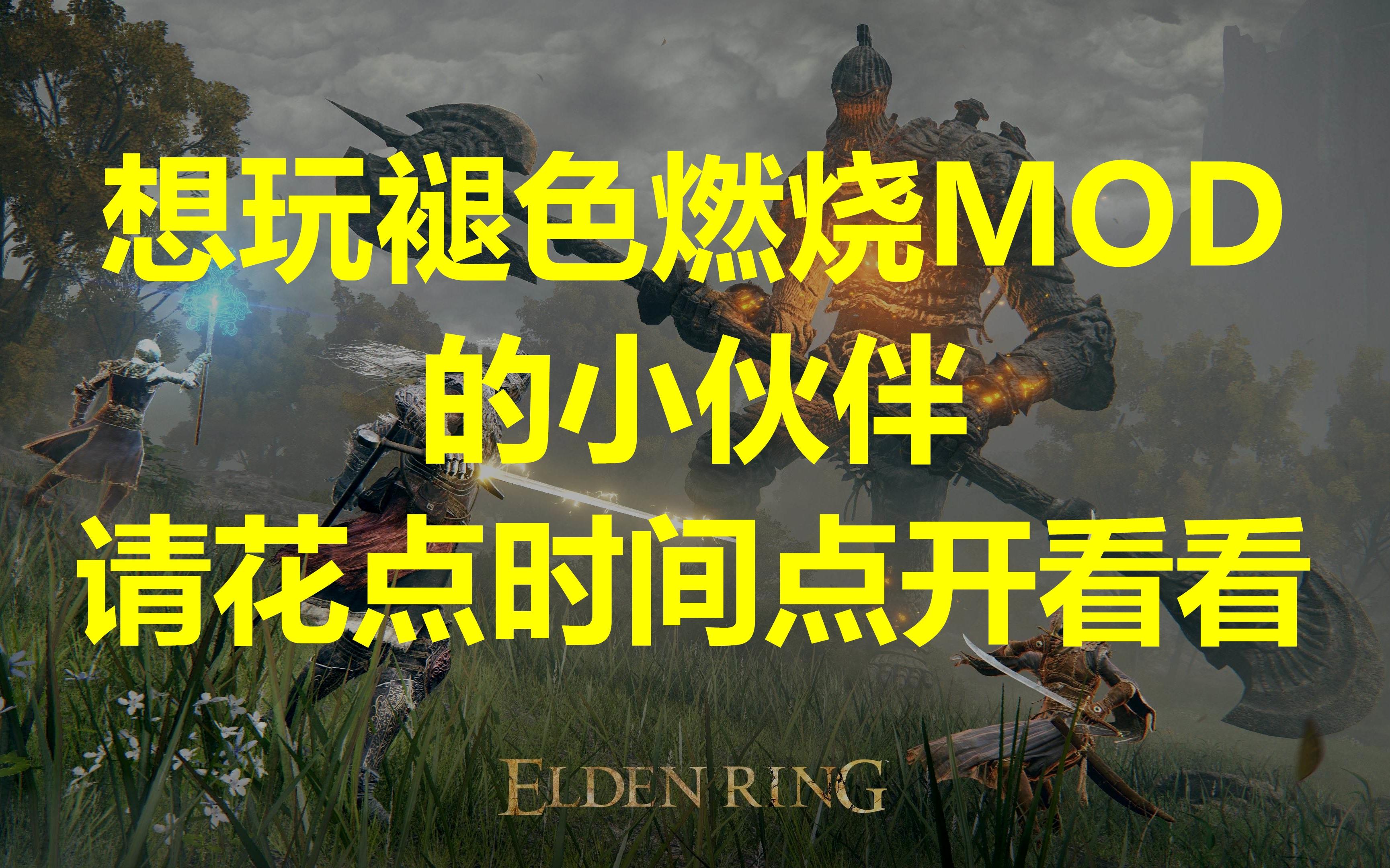 [图]想玩褪色燃烧MOD的小伙伴请花点时间点开看看