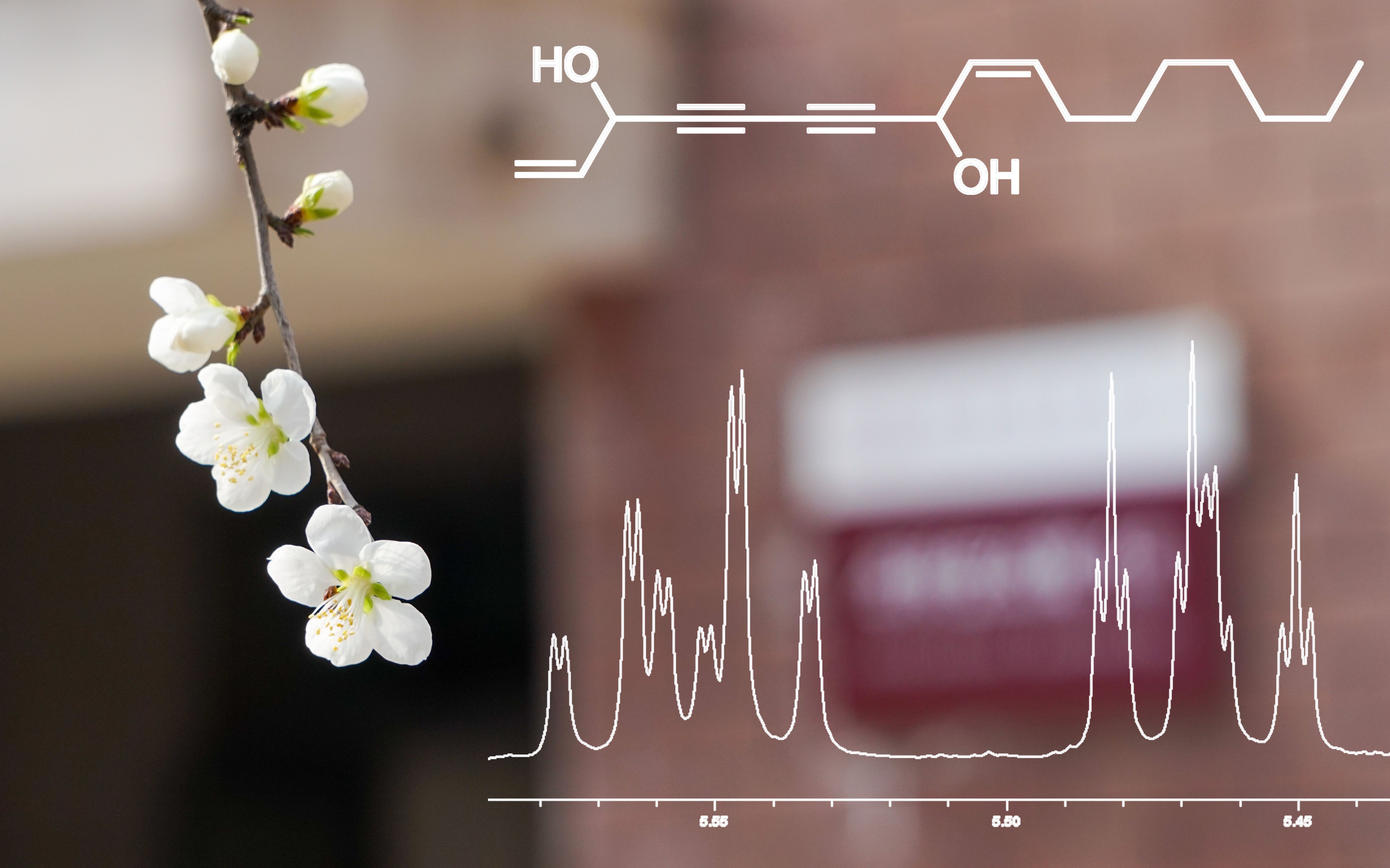 使用MestReNova对炔类化合物的解析——含二维图谱解析(HSQC,HMBC)及微谱数据库的使用哔哩哔哩bilibili