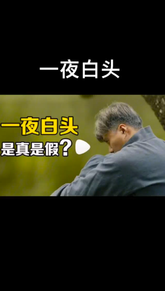 一夜白发可能吗?哔哩哔哩bilibili