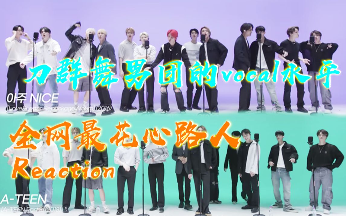 【REⷓEVENTEEN】全网最花心路人入坑图鉴2(VOCAL篇)哔哩哔哩bilibili