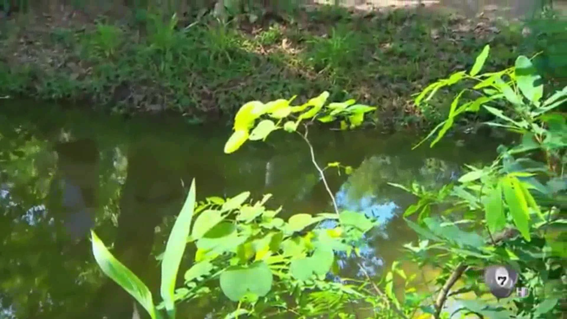 泰语中字泰剧风车花的诅咒插曲