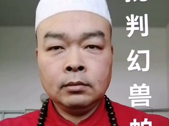 【曹道德】批判幻兽帕鲁抄袭宝可梦