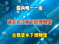 Download Video: 国内唯一一座藏在长江底下的博物馆，重庆白鹤梁水下博物馆，你还知道哪些神奇的博物馆？