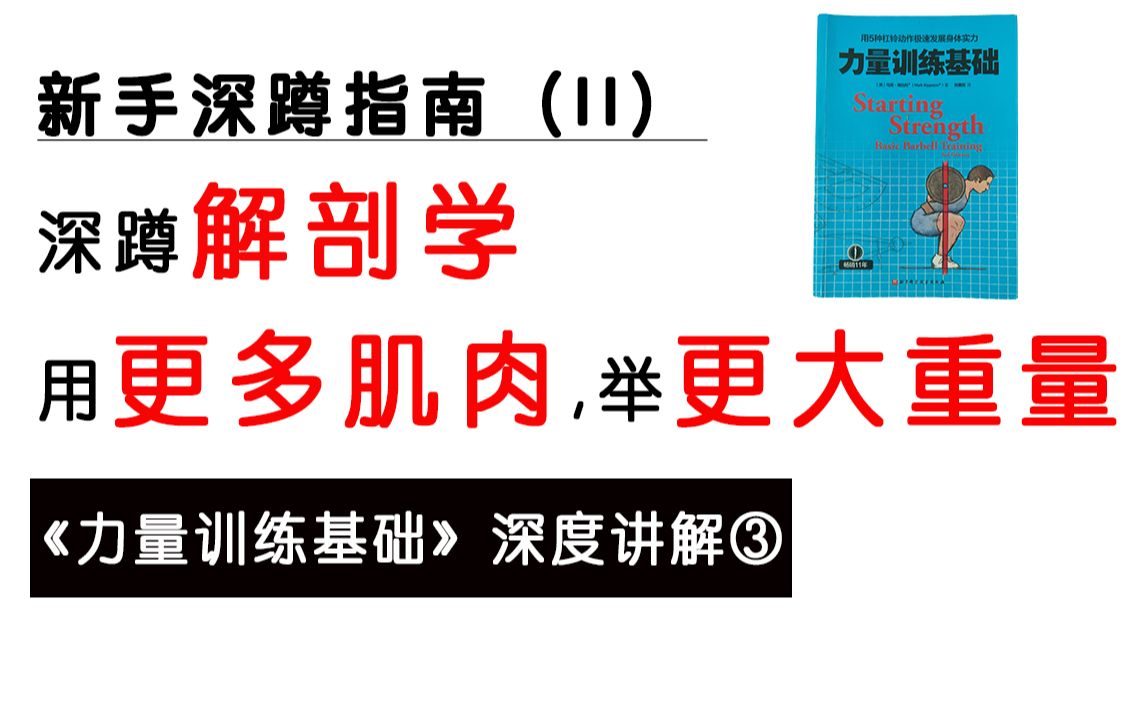 [图]《力量训练基础》③深蹲中的基础解剖学：如何使用更多肌肉，举起更大的重量