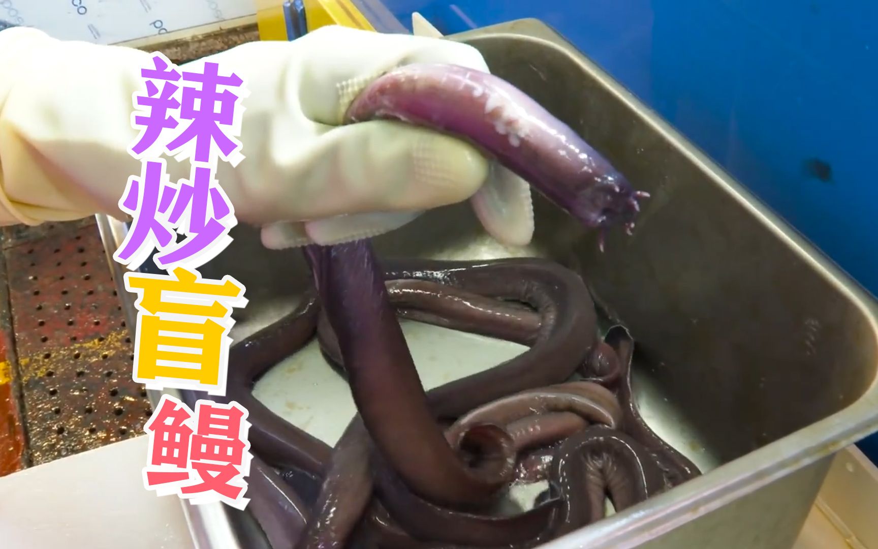 像极了鼻涕!不过辣炒盲鳗好吃!_哔哩哔哩_bilibili