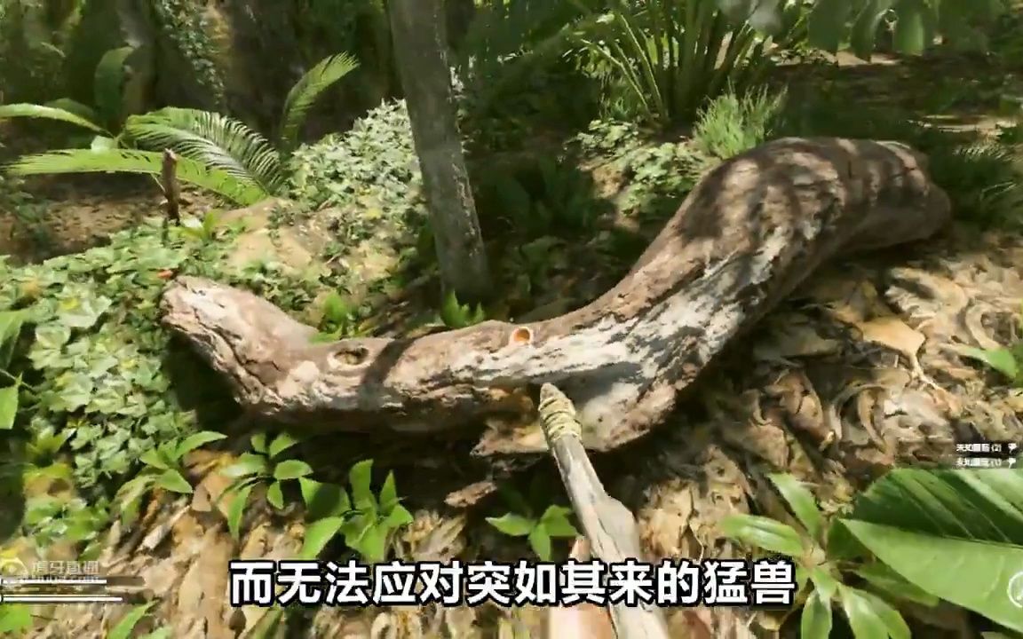 绿色地狱食物大全图片