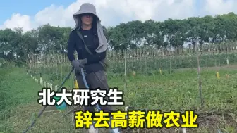 Télécharger la video: 北大研究生 辞去高薪做农业（一）