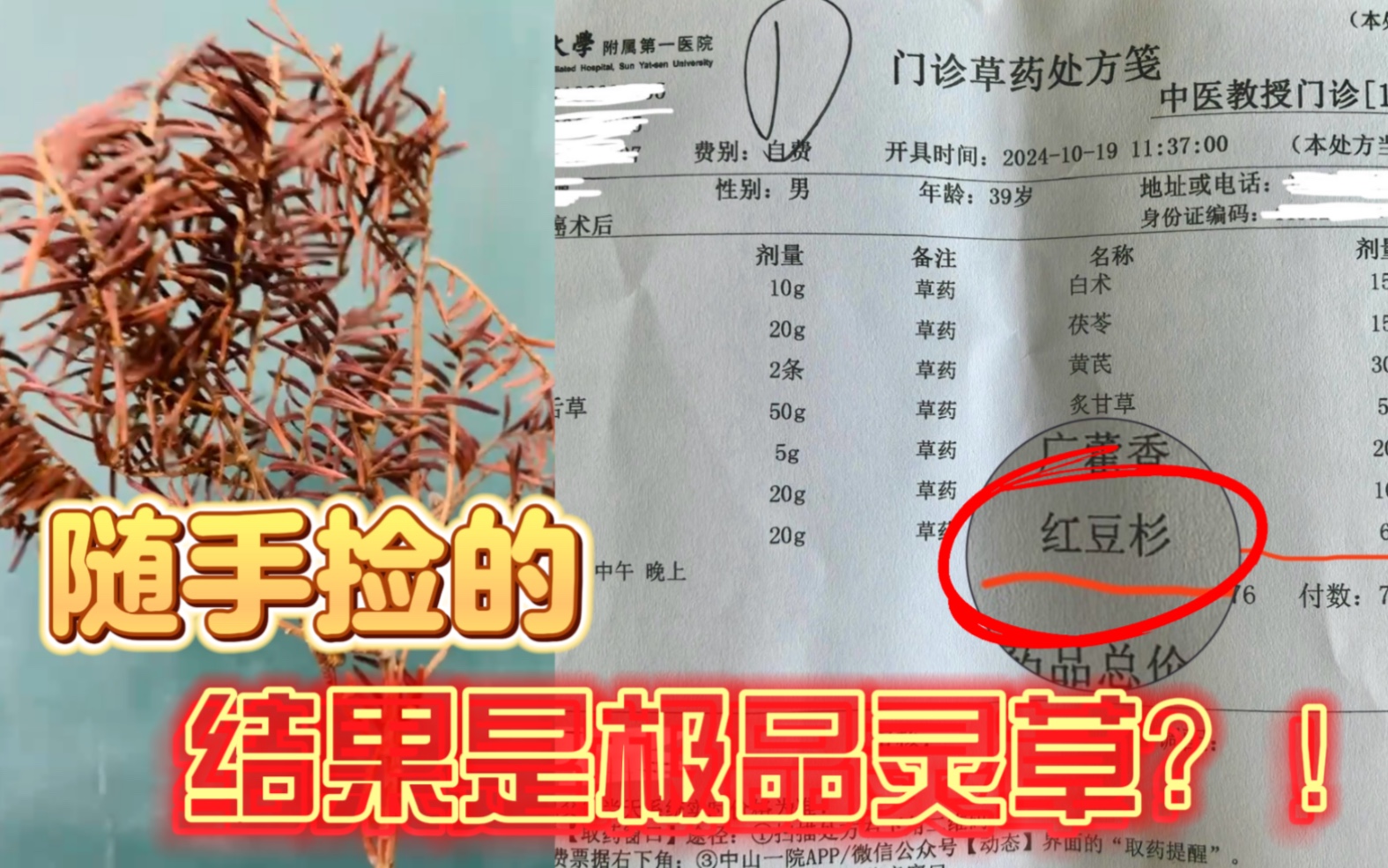 因为爱捡破烂救了人命!女生随手捡的竟是极品灵草,几次差点扔掉,但还是留下来了,来源#小羊拍客哔哩哔哩bilibili