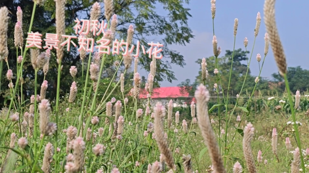 [图]感受自然的馈赠，欣赏秋天别样美景