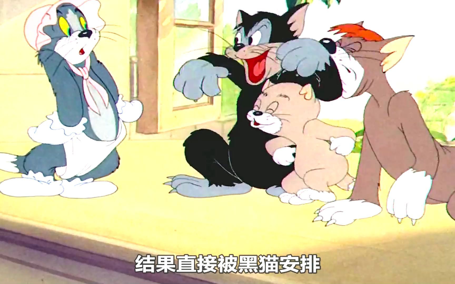 动画解说 #猫和老鼠 #童年经典动画片