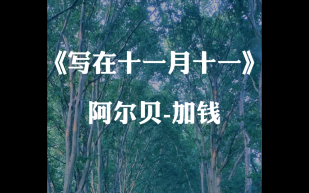 《写在十一月十一》[诗歌原创]哔哩哔哩bilibili