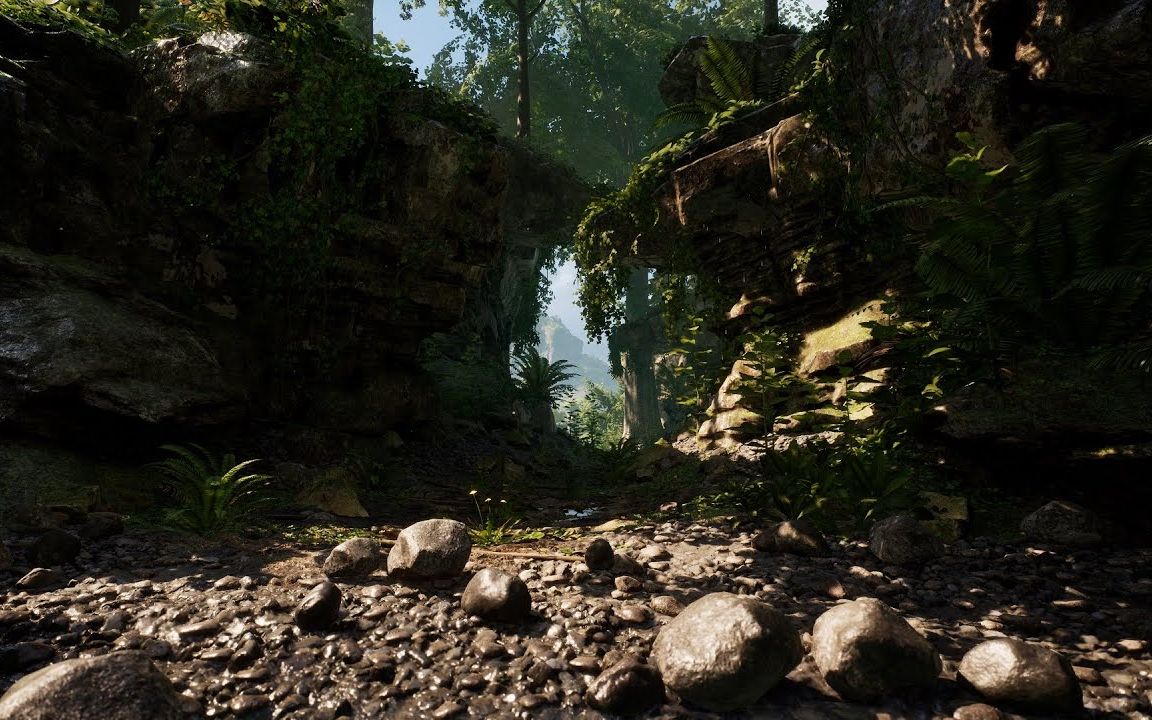 虚幻4超真实茂密森林场景4k