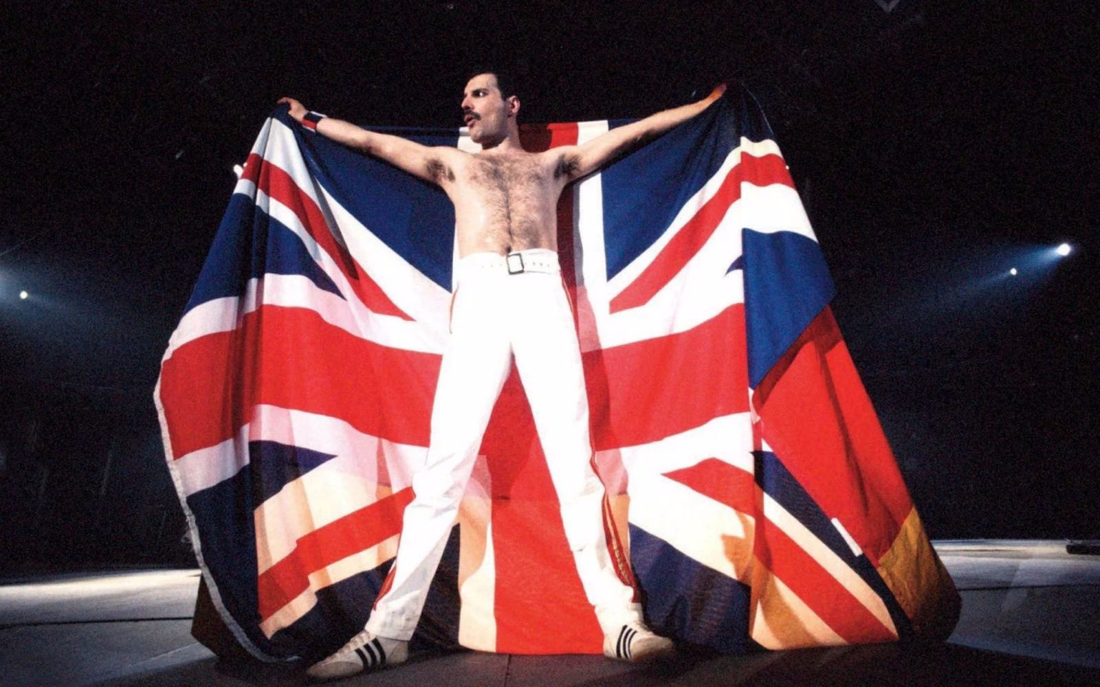 [图]『群星』纪念Freddie Mercury1992年温布利演唱会(The Freddie Mercury Tribute Concert)