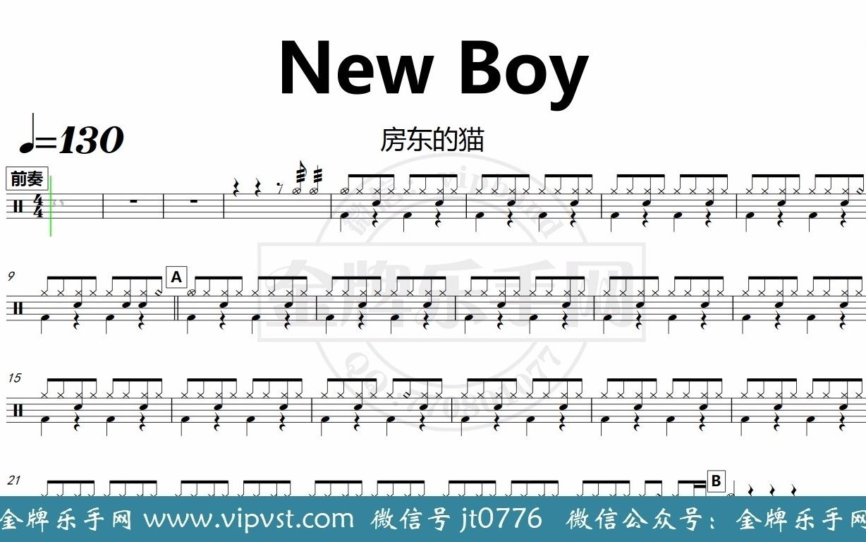 金牌乐手网dt0284房东的猫newboy鼓谱动态鼓谱无鼓伴奏drumcover节拍