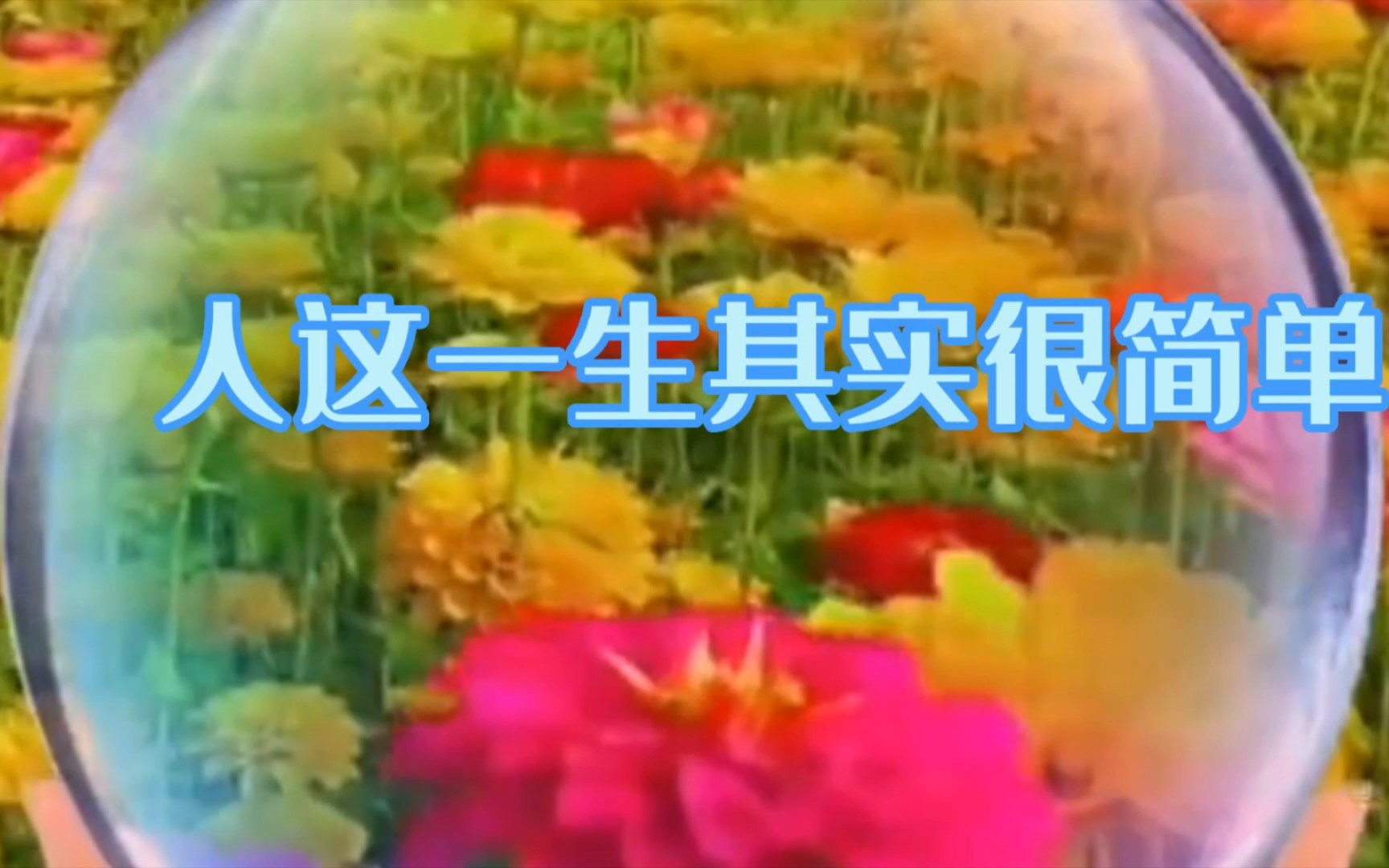 其实歌曲(其实歌曲表达什么意思)