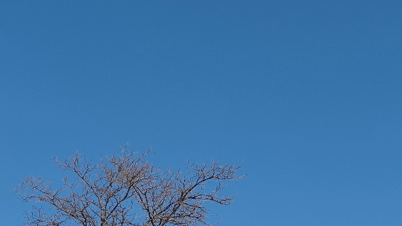 想看看你们手机里的蓝色天空