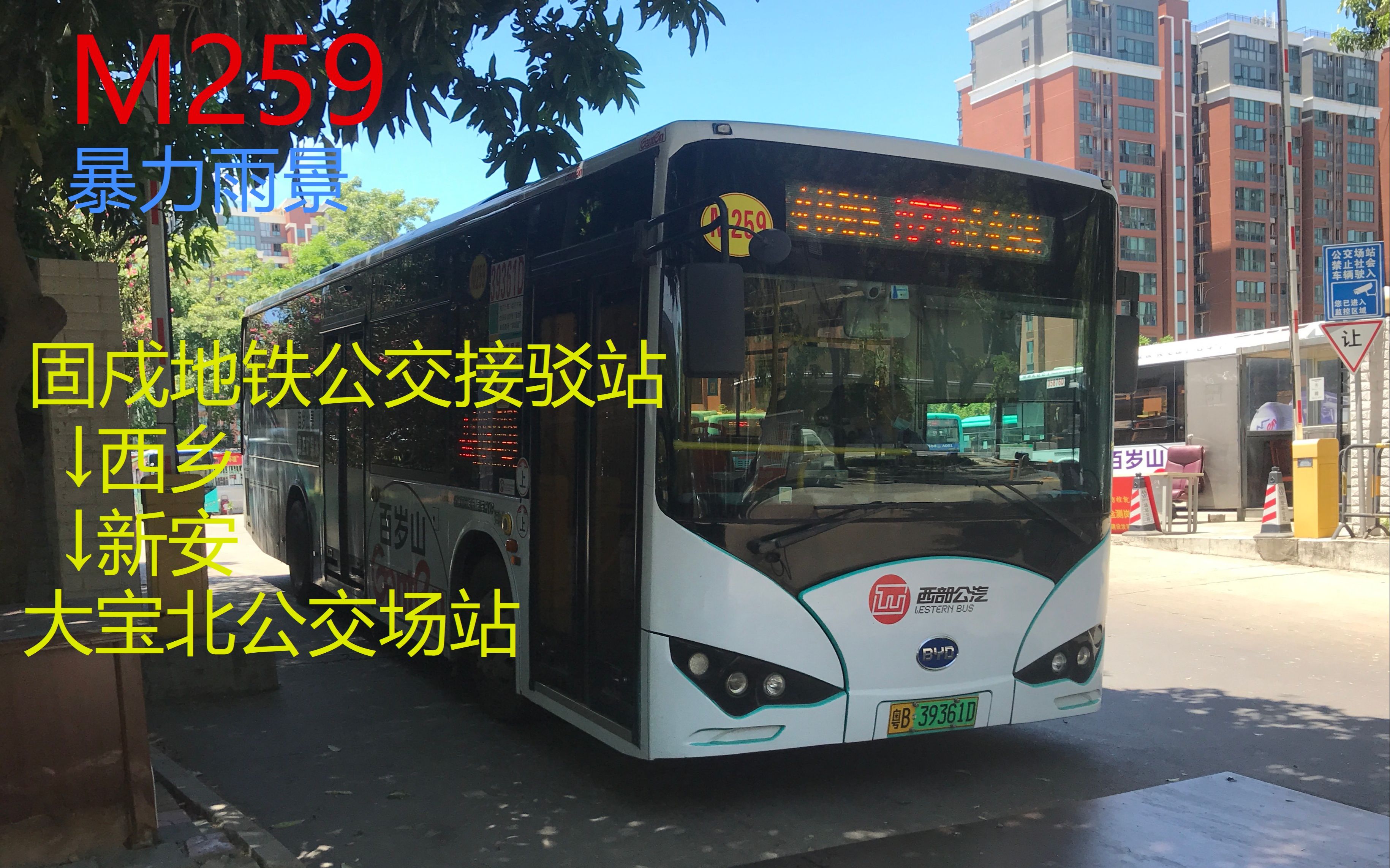 [已改线]西乡大路,新安小路-深圳公交m259→大宝北公交场站全程第一
