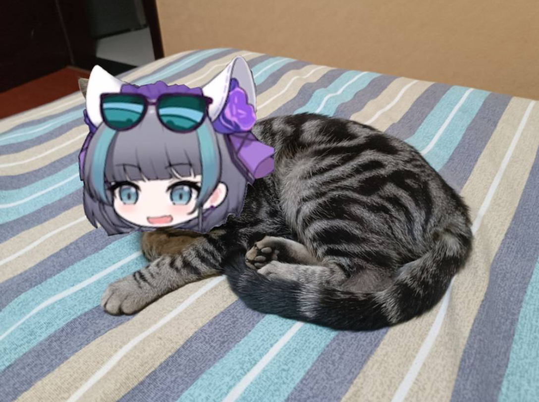 柴郡猫猫头表情包!