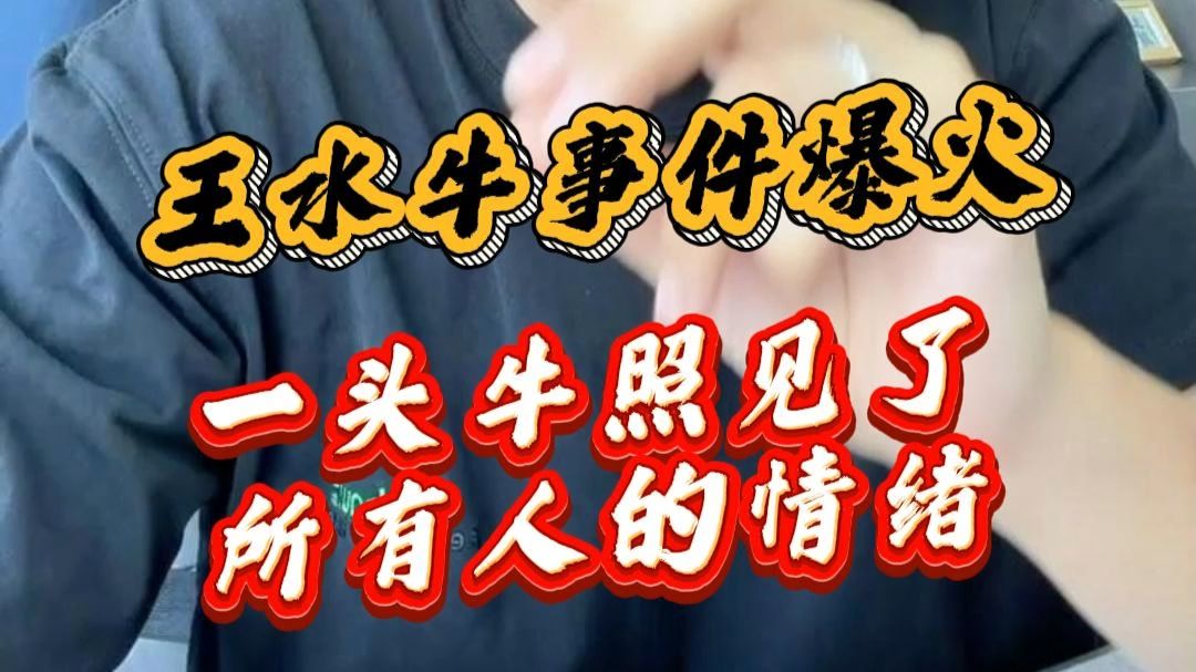 王水牛事件爆火 一头牛照见了所有人的情绪