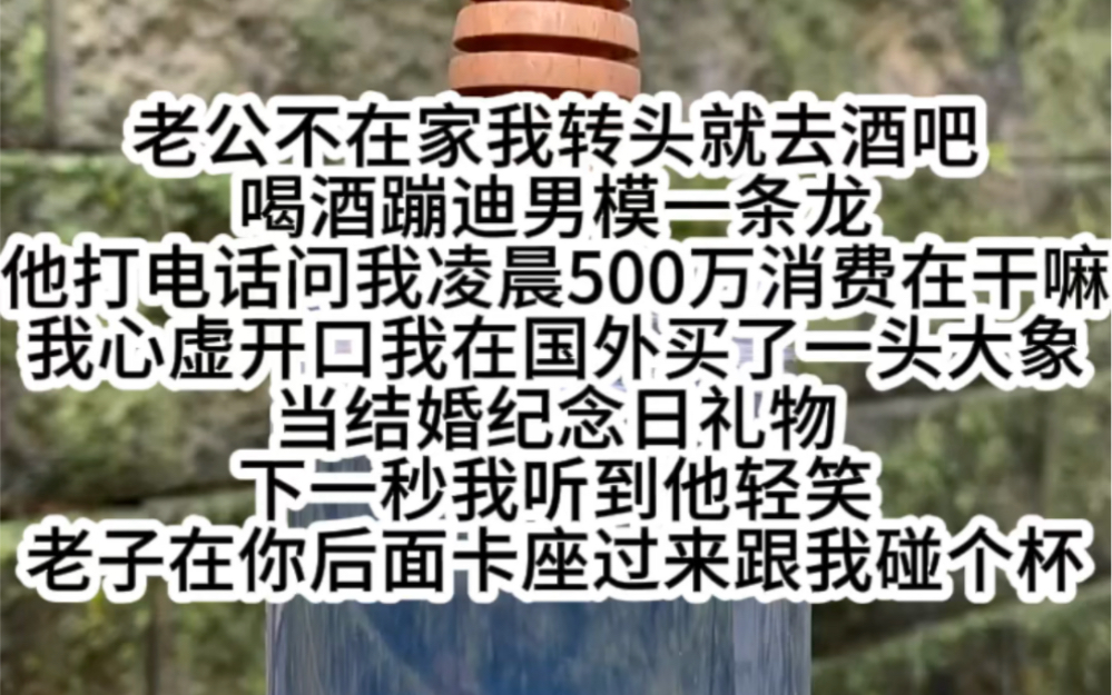 老公不在家我转头就去酒吧喝酒蹦迪男模一条龙他打电话问我凌晨500万消费在干嘛我心虚开口我在国外买了一头大象下一秒我听到他轻笑老子在你后面卡座...