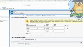 0基础课程_ Salesforce_admin初级入门学习_共享规则&字段安全性设置