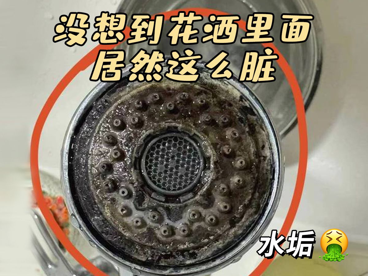 能拆卸,能翻转,还能反向冲洗的花洒他来啦~针对水垢导致出水面板容易堵的问题,通过这个设计可以延长花洒使用时间及使用体验~!哔哩哔哩bilibili