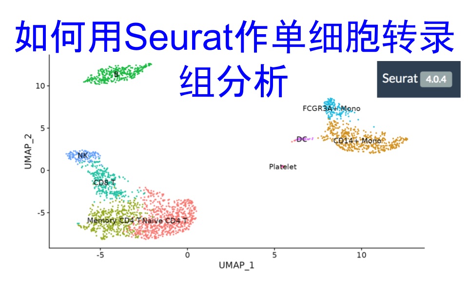 如何用seurat做单细胞转录组的分析哔哩哔哩bilibili