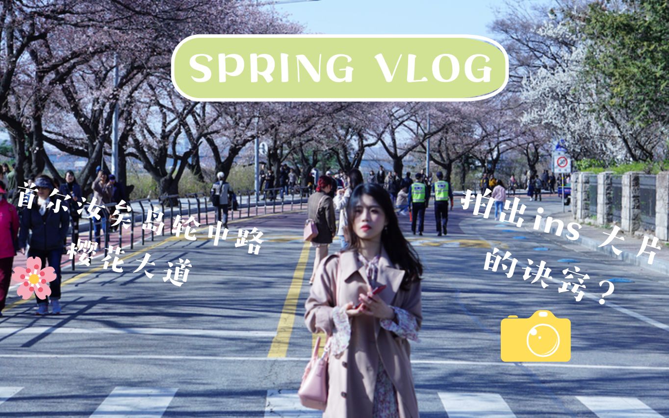 春 |韩国vlog |汝矣岛 |樱花庆典 |首尔 |中韩情侣日常哔哩哔哩bilibili