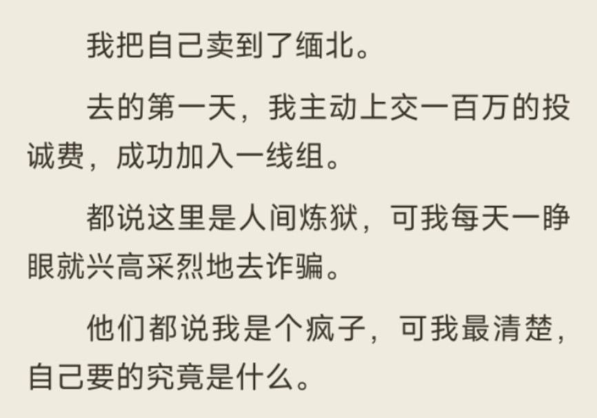 (放心入)我把自己卖到了缅北.去的第一天,我主动上交一百万的投诚费,成功加入一线组.哔哩哔哩bilibili