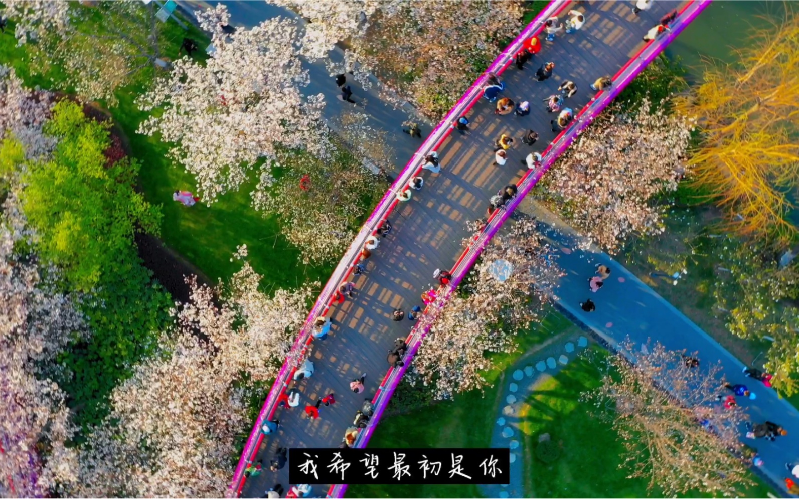 记录