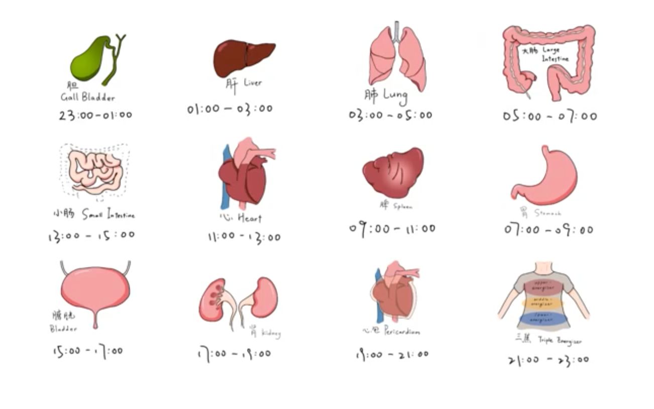 [图]【养生日记】“十二时辰”养生法，中医养生时间有讲究！（下）