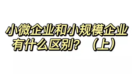 小微企业和小规模企业有什么区别哔哩哔哩bilibili