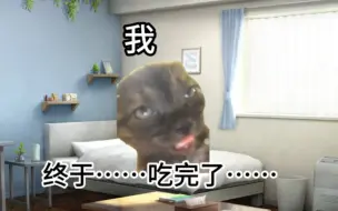 Download Video: 【猫meme】爸爸给我买零食结果让我痛苦万分的故事