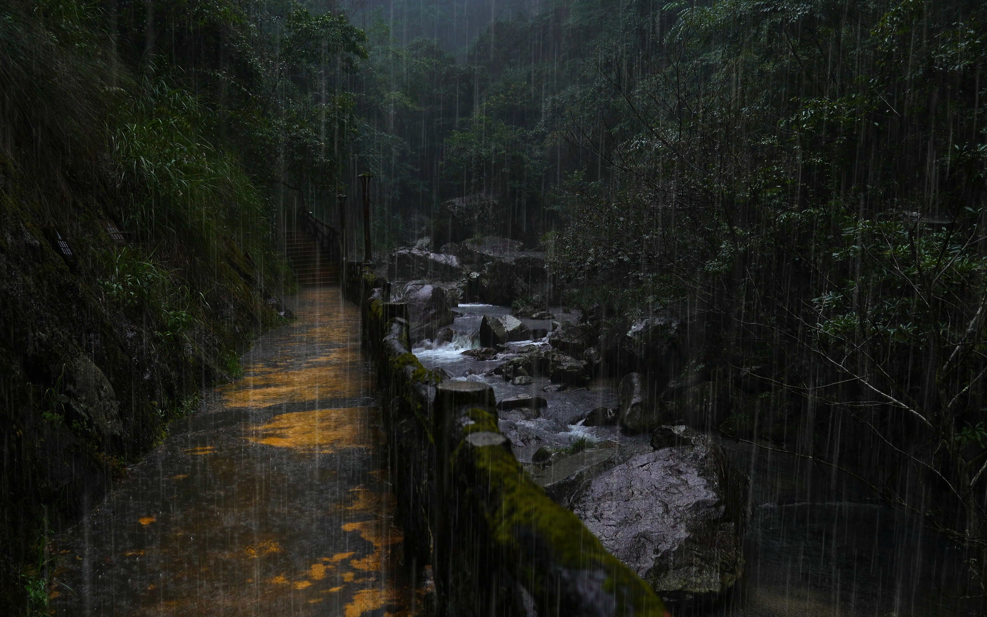 [图]🔰【真实雨声】10小时！森林极致舒适大雨声，雷声和流水声，睡眠雨声，bgm，PTSD，rain sounds for sleeping thunder