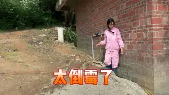 Download Video: 女子独自山里养猪，停水又停电，猪要断粮了